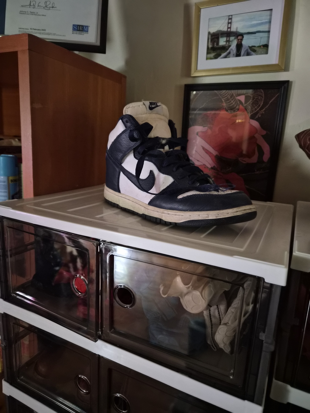 Nike High-Top Sneakers in Navy Blue and White